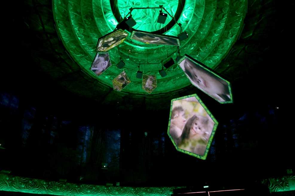 展館設(shè)計(jì) 展館設(shè)計(jì)